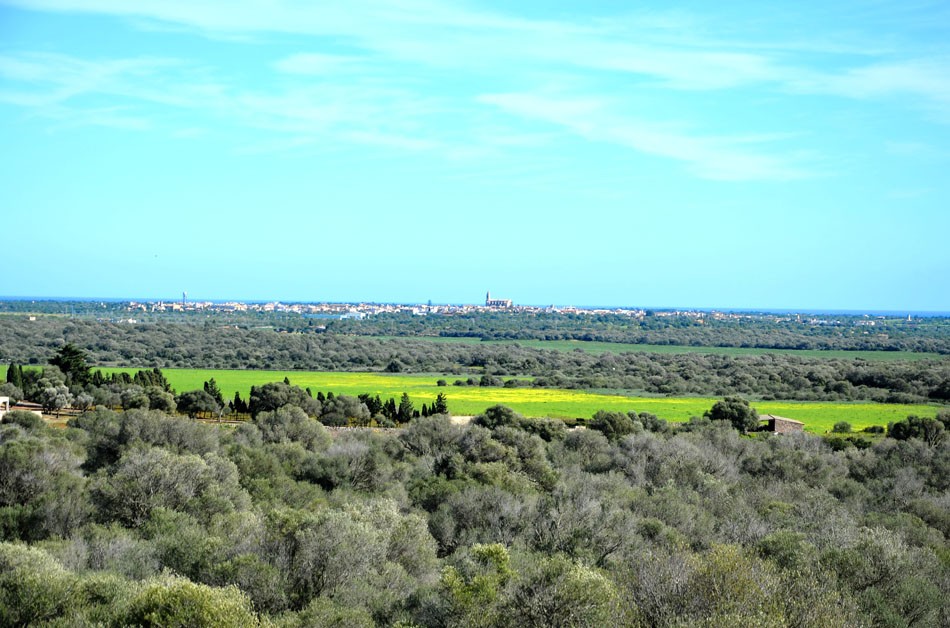 179_01_Santanyí_Anwesen_Blick