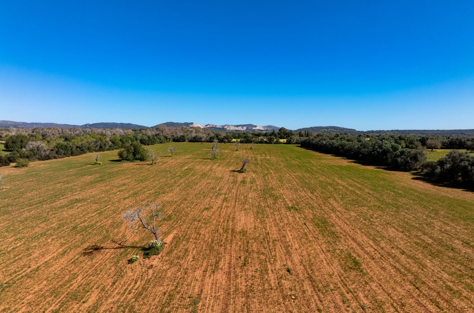 01_628_LH088CN R.Web 002