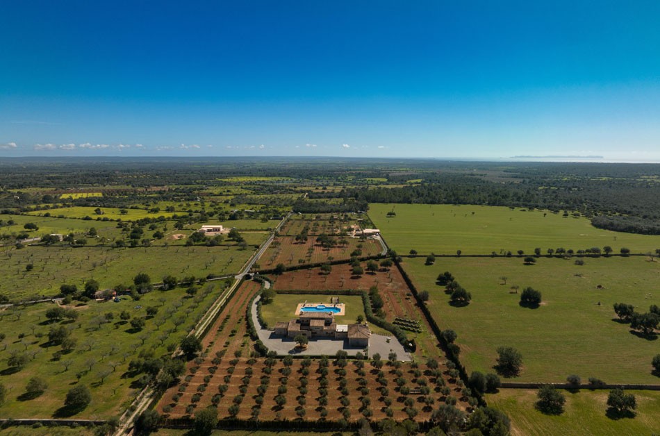 2591_03_Llucmajor_Finca_Blick