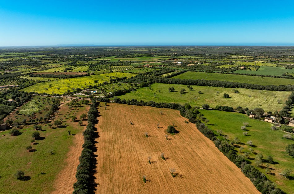 628_LH088CN R.Web 011