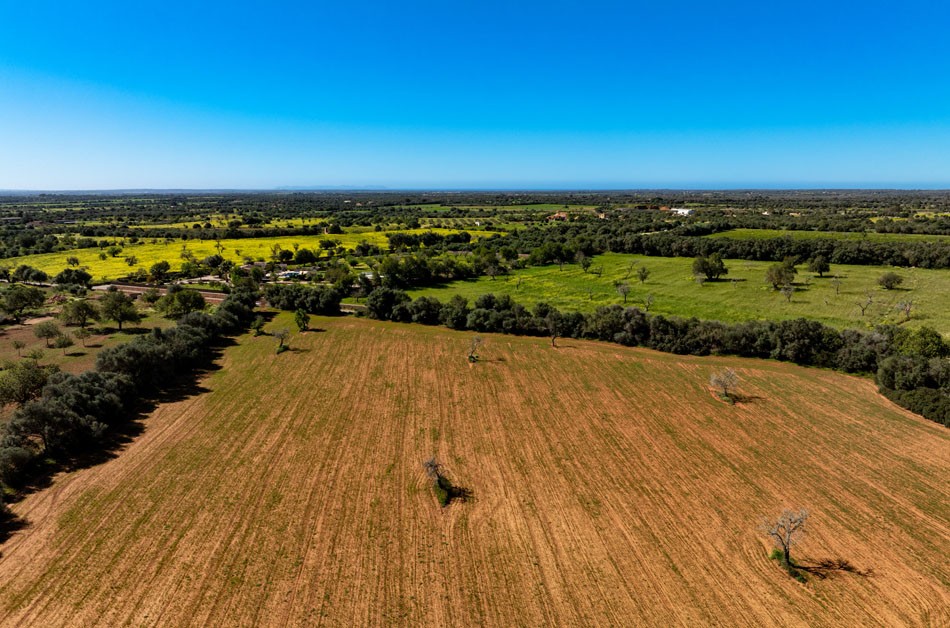 628_LH088CN R.Web 012