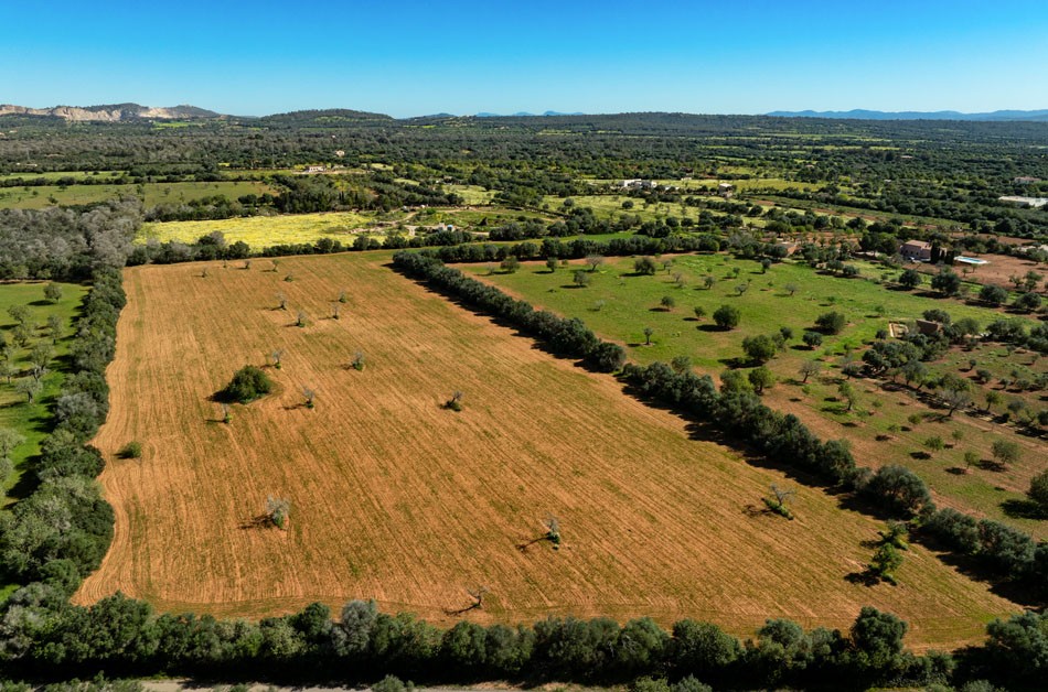 628_LH088CN R.Web 004