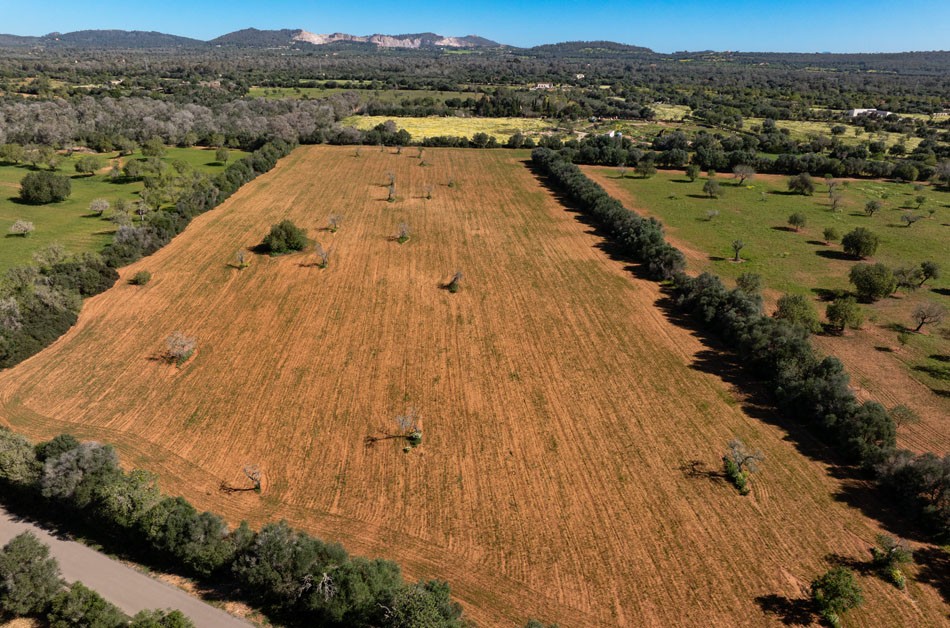 628_LH088CN R.Web 003