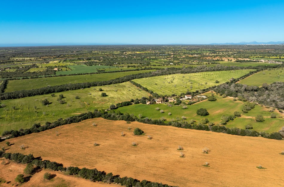 02_628_LH088CN R.Web 013