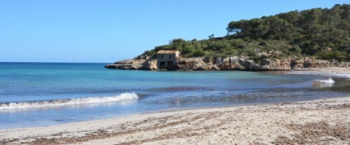 Cala-Mondragó-1-e1463589052182-620x255