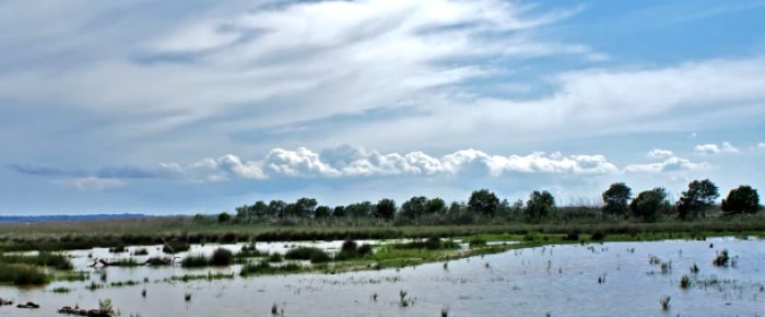Parc_Natural_de_Albufera_Header